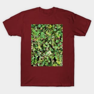 Blackberries T-Shirt